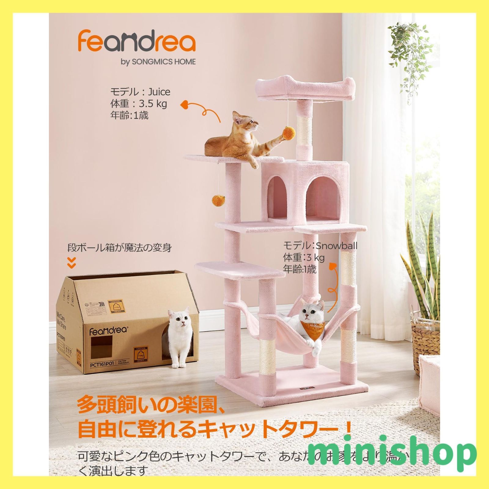 数量 FEANDREA