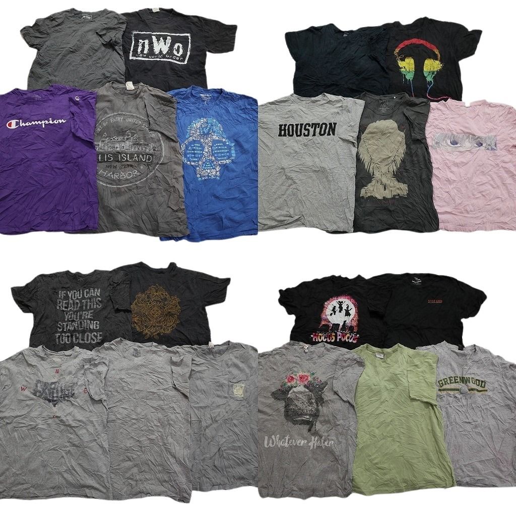 古着卸 mix プリント 半袖Tシャツ 20枚セット メンズ L チャンピオン アニマル 動物 英文字プリント 古着 NA0713