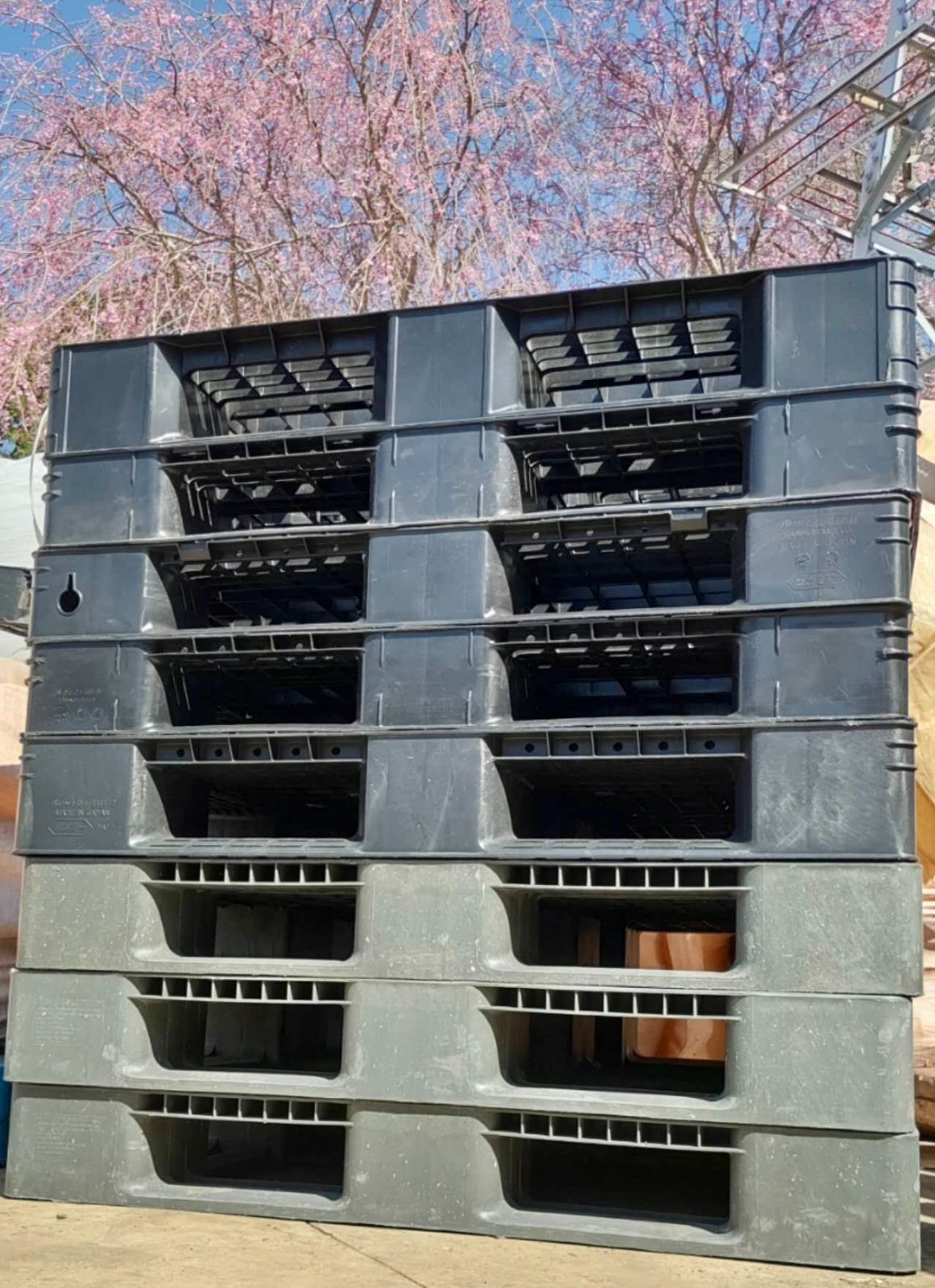 来店引取 10枚 プラスチックパレット 樹脂パレット プラパレ プラパレット リユース 1100mm×1100mm