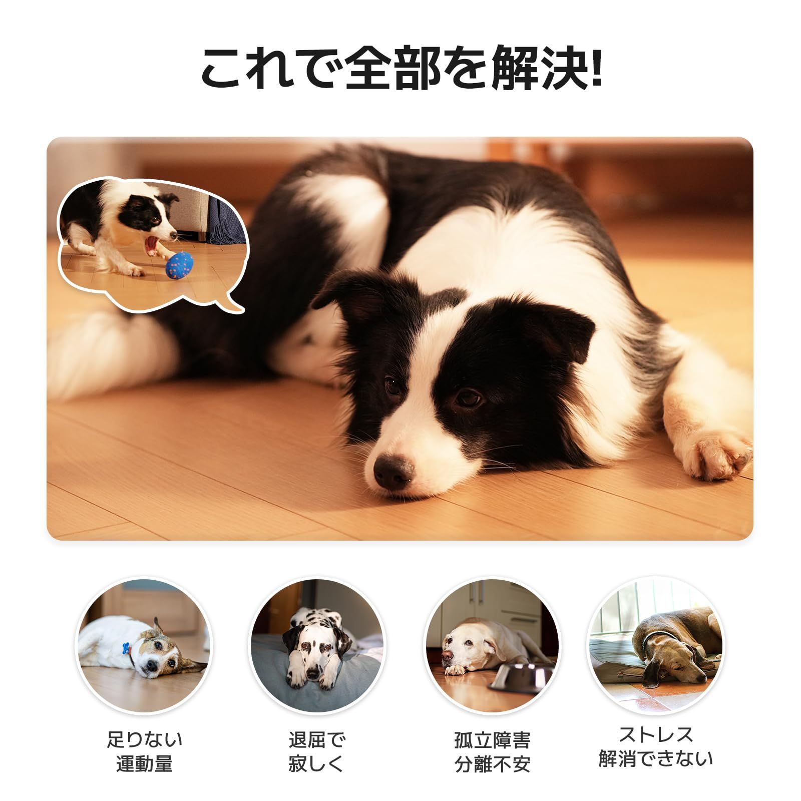 ストレス 運動不足解消