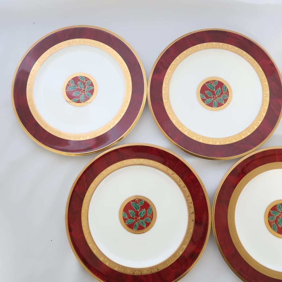 22cm ５枚セット