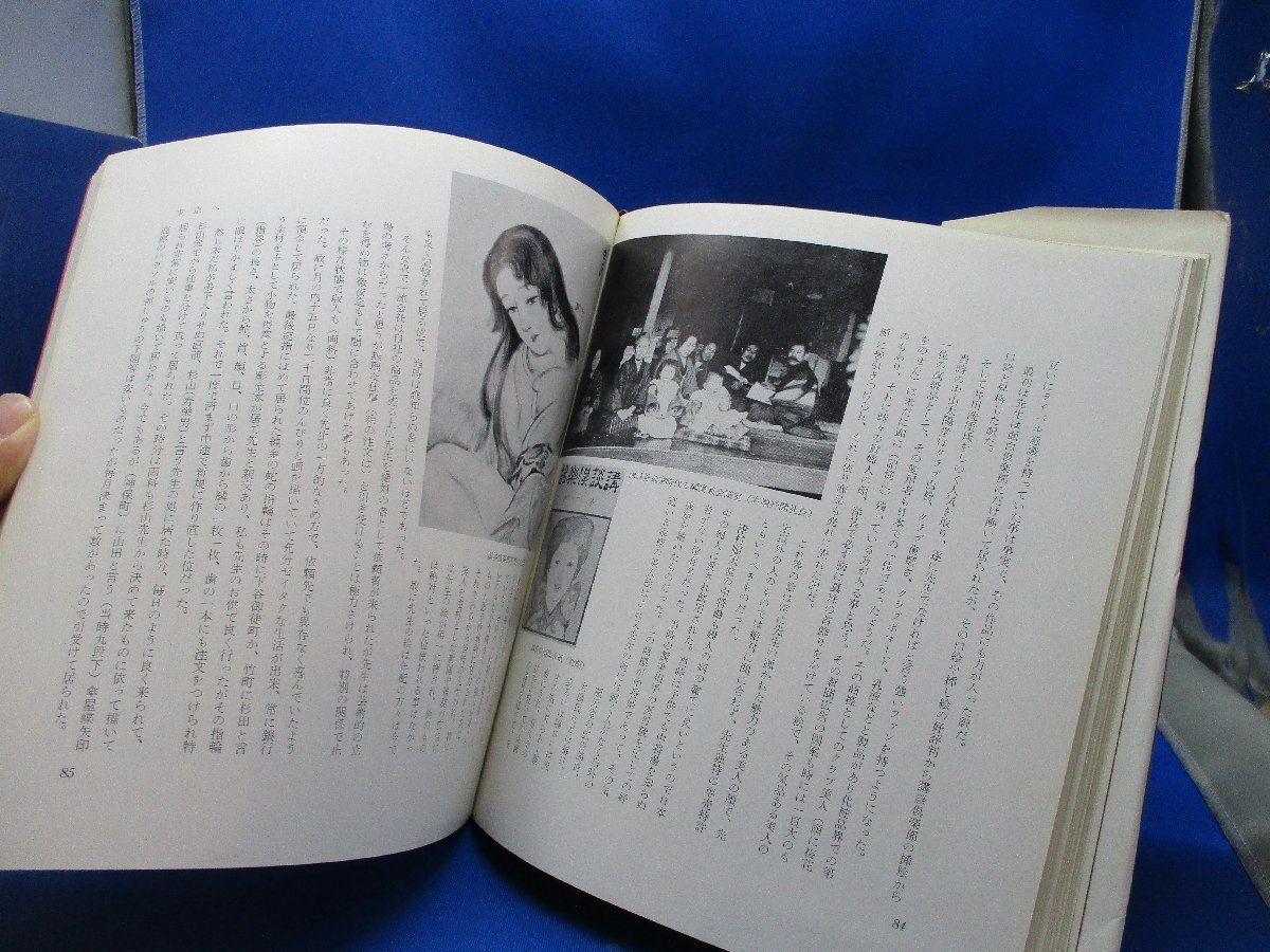 画家の肖像 高畠華宵の伝記と作品