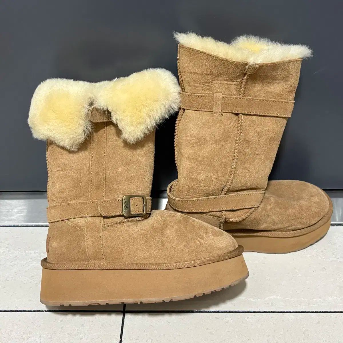 バックル トール