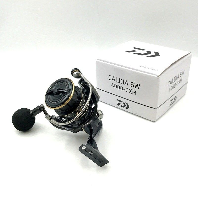ダイワ レオブリッツ200J Daiwa】レオブリッツ200J ジャンク品 ダイワ