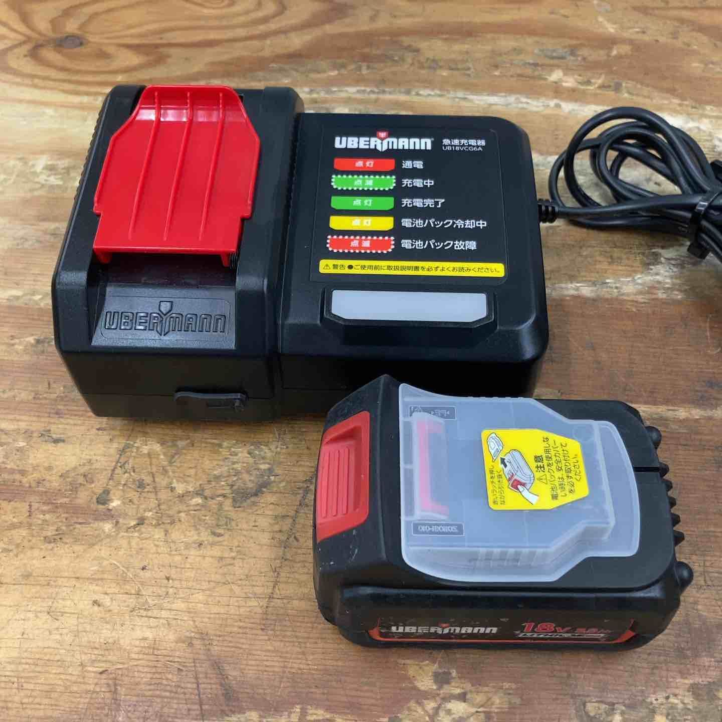 イースターカクタス DAWN 接木 446