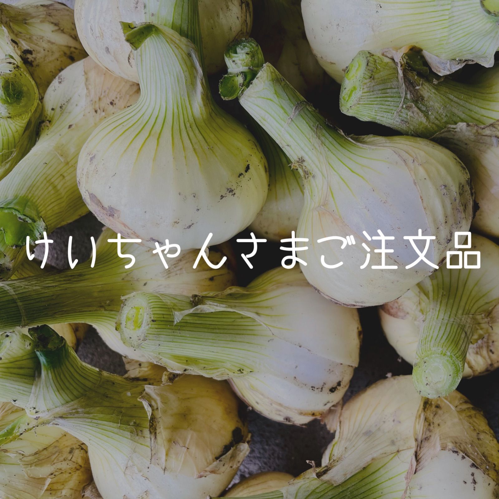 けいちゃんさま専用品 - 淡路島野菜園 - メルカリ