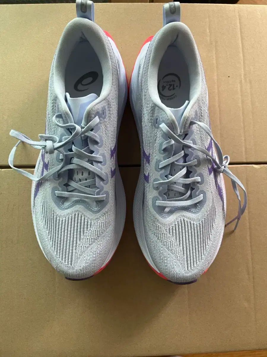 Asics アシックス スーパーブラスト 2 260