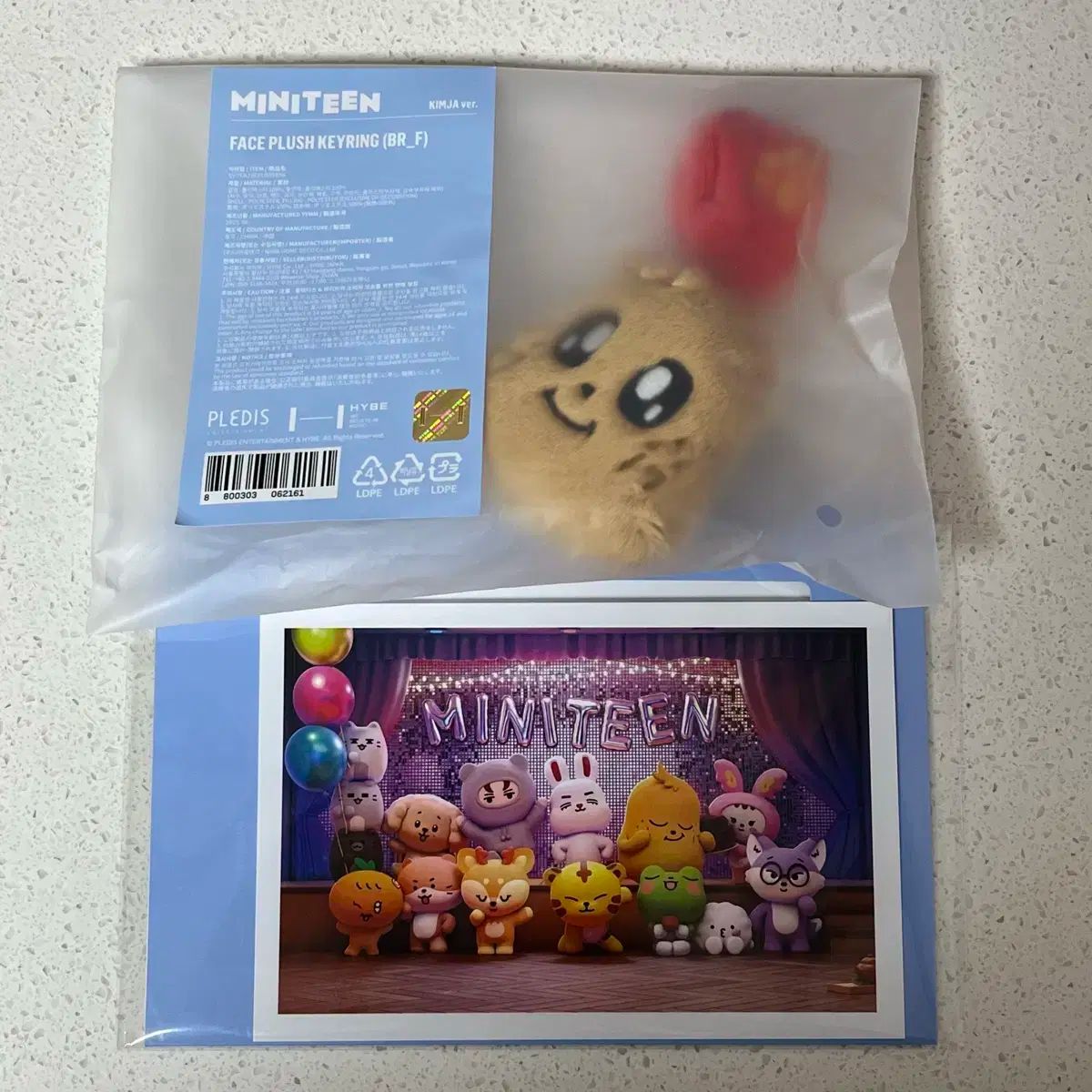 SEVENTEEN(セブンティーン・セブチ) ミニティーン ポップアップ FACE