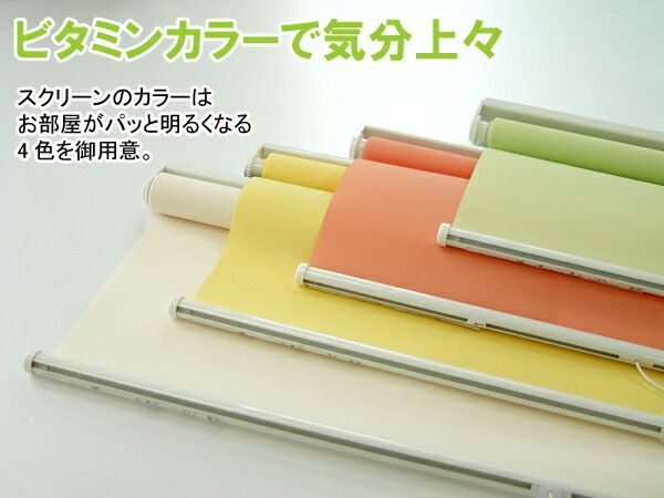 スリムロールスクリーン ビス止めタイプ 幅60cm×高さ180cm 代引不可 NEXPOTALLINN_EU