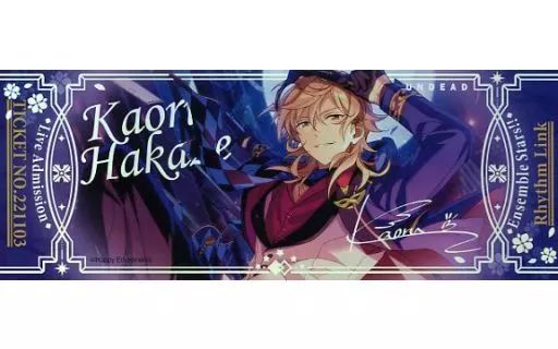 紙製品　全49種セット 「あんさんぶるスターズ!! オーロラ ホロチケット」 中国限定 あんスタ【ホログラムチケットセット】中国 - メルカリ