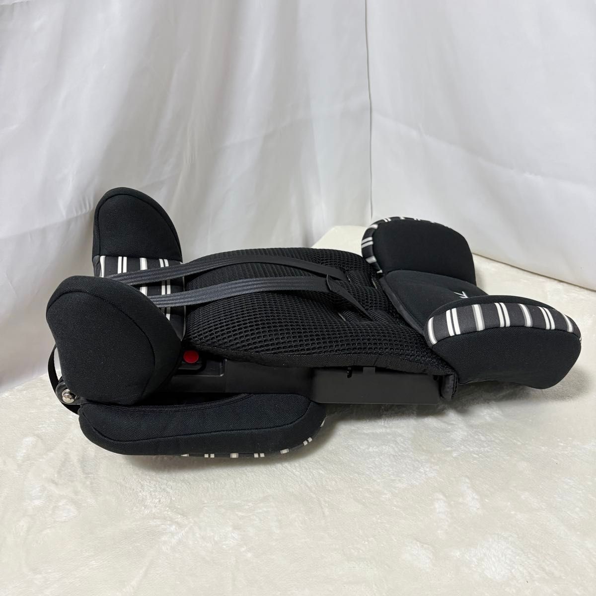 ブラックボーダー