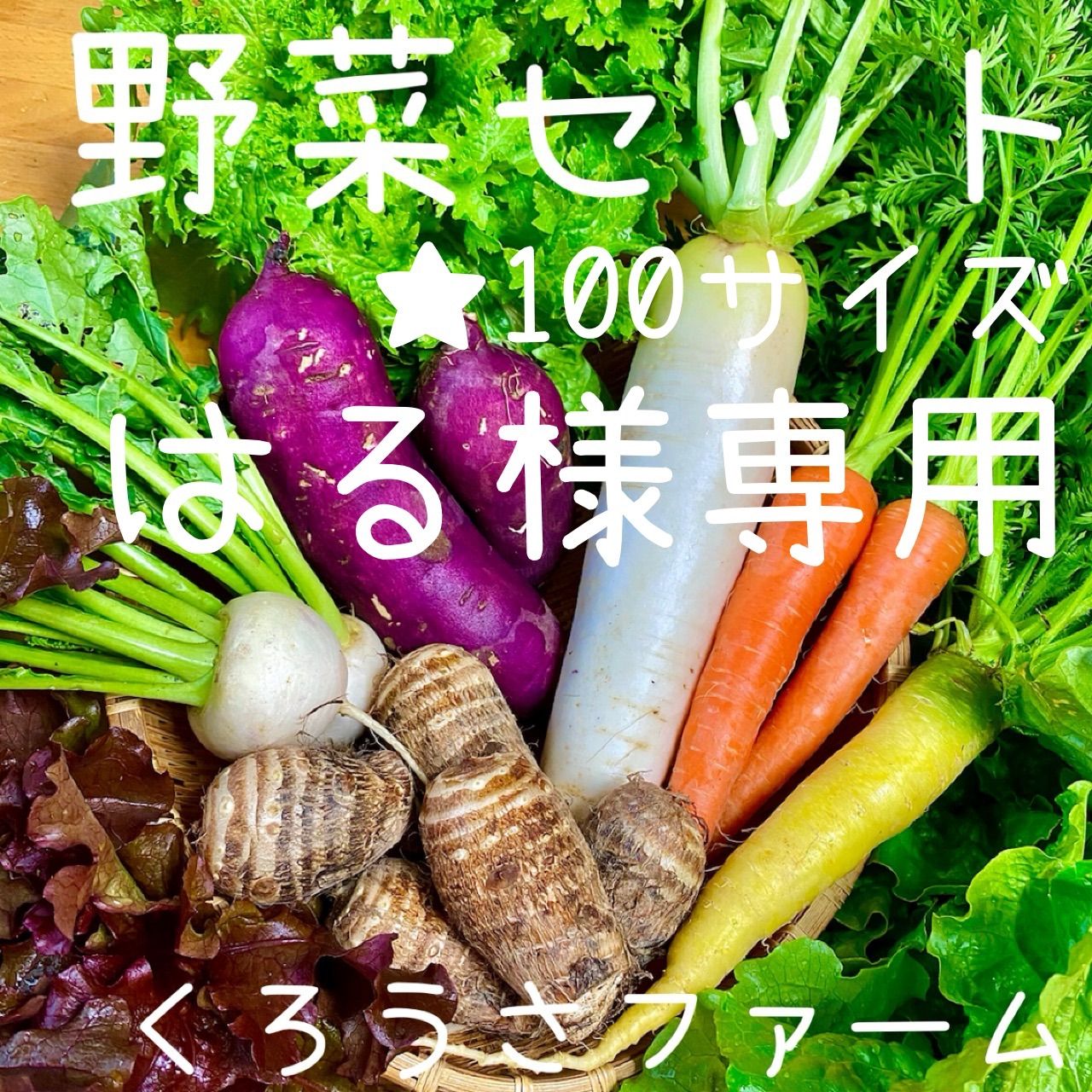 はる様専用 野菜セット 野菜詰め合わせ 100サイズ お鍋セット