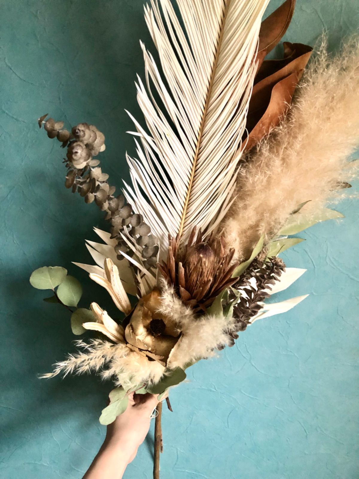 yaapa】白鉢付＊ポポラス、グニー(100cm前後) 楽天市場】ユーカリ 2