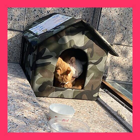 てるりん　防音犬小屋　ワンチャンハウス　犬　子犬　猫　キャットハウス 71D8emvwCeL._UF350,350_QL50_.jpg