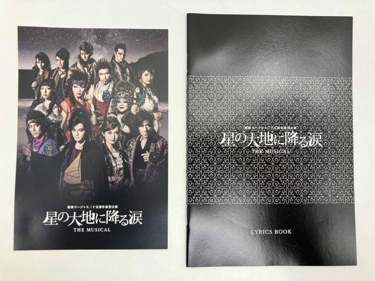 星の大地に降る涙 パンフレット クリアファイル 地球ゴージャス 三浦春馬 星の大地に降る涙』パンフレット 三浦春馬 星の大地に降る涙