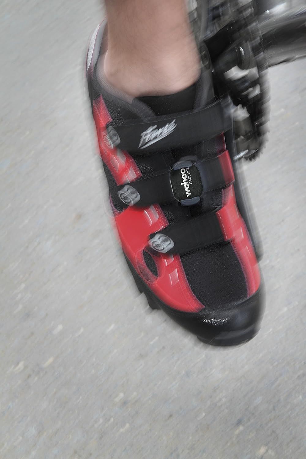 Wahoo RPMスピード ケイデンスセンサー iPhone Android およびサイクルコンピュータ用 ワフー USTAUSTRALIA_COM_AU