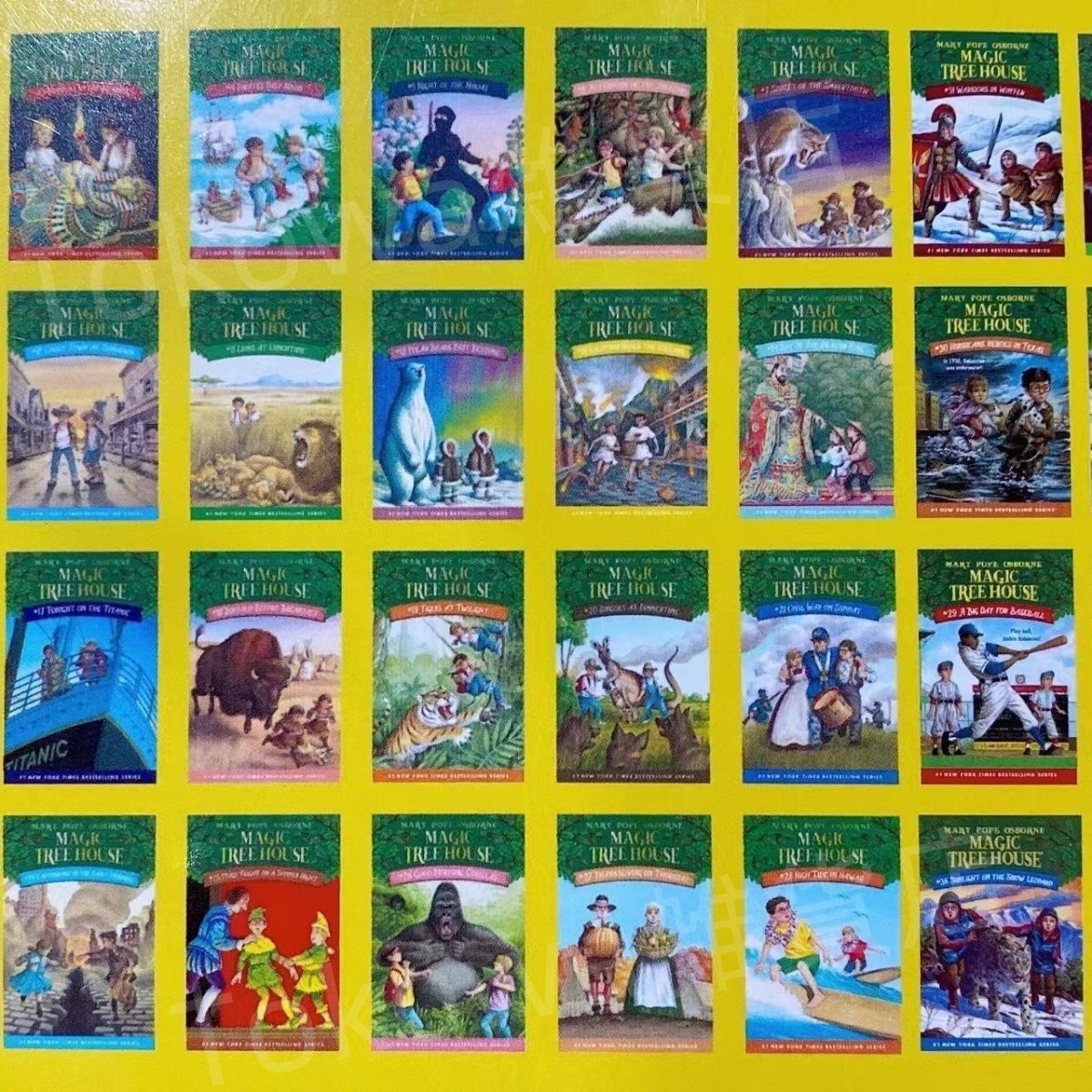 新品Magic Tree Houseシリーズ1 英語絵本38巻 洋書音声あり