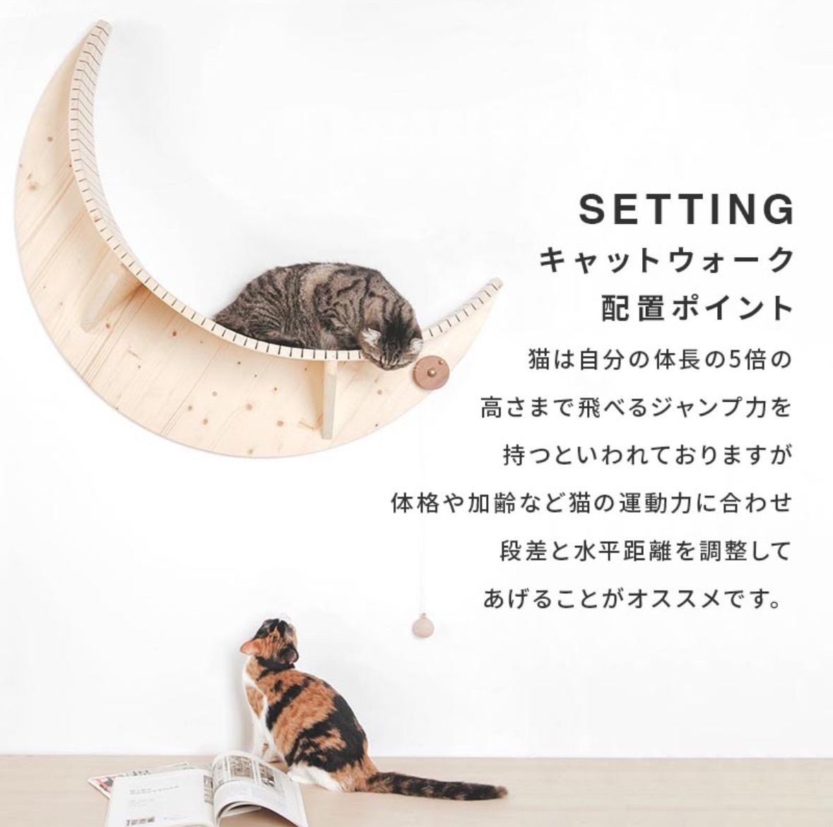 ルナ