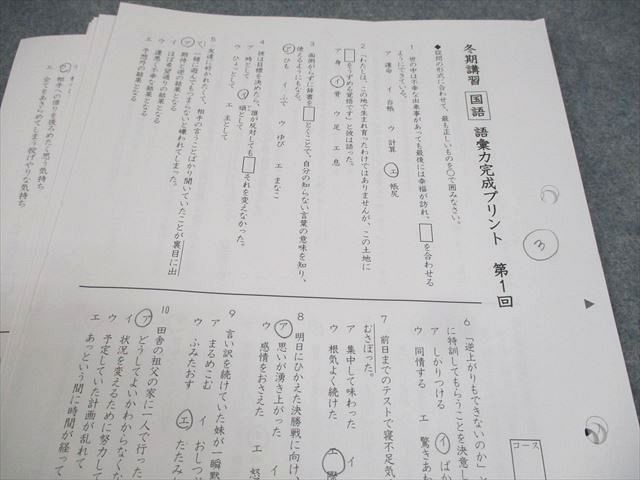 SAPIX サピックス 小6 SS特訓 総仕上げ！語彙力完成プリント