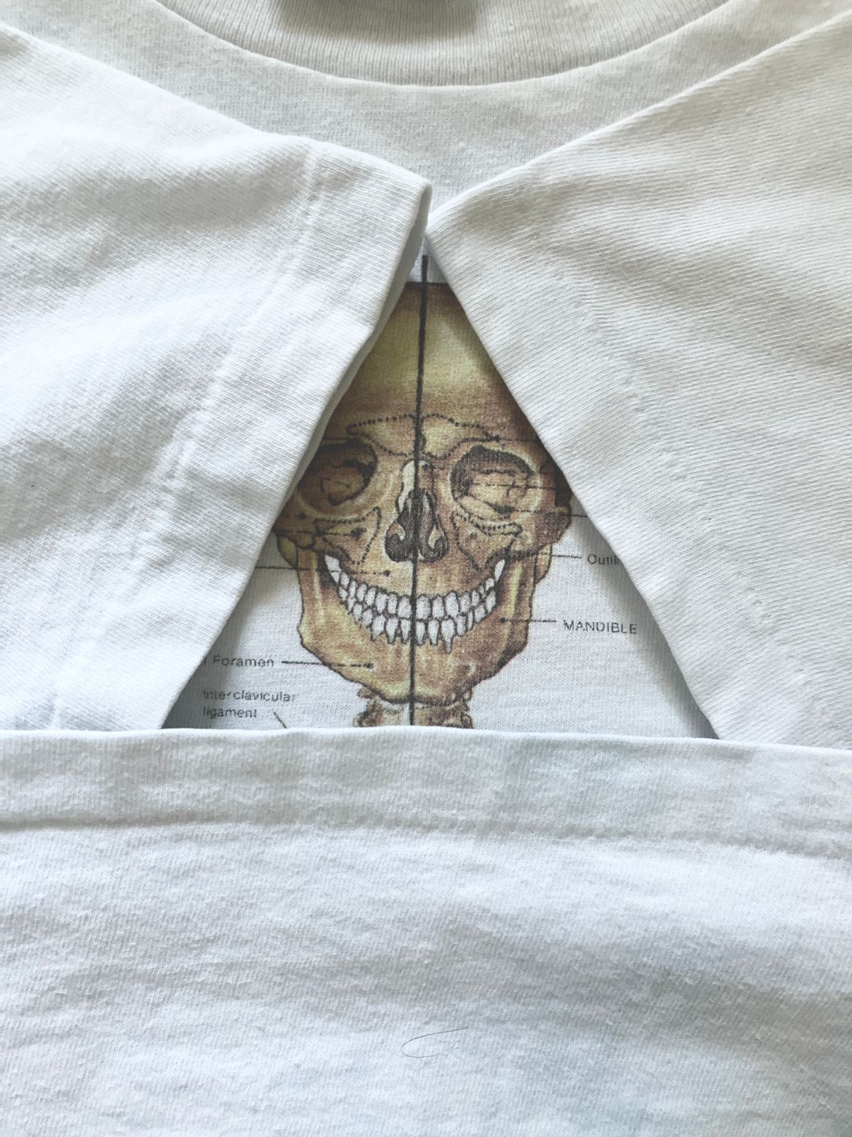 80s Anatomical Chart T-shirt 骨格標本 NIRVANA 90s アメリカ製 