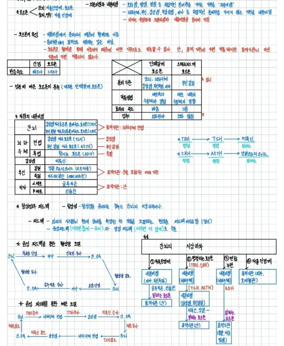 2026 大学入試能力試験 科学を探る 生命科学 コア定理
