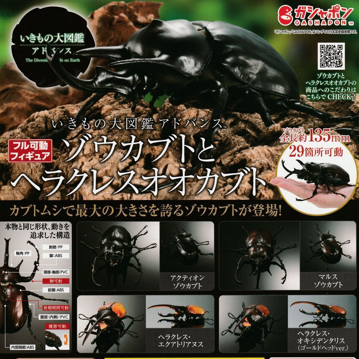 いきもの大図鑑アドバンス ゾウカブトとヘラクレスオオカブト【全4種
