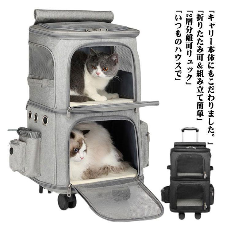 キャリー 猫