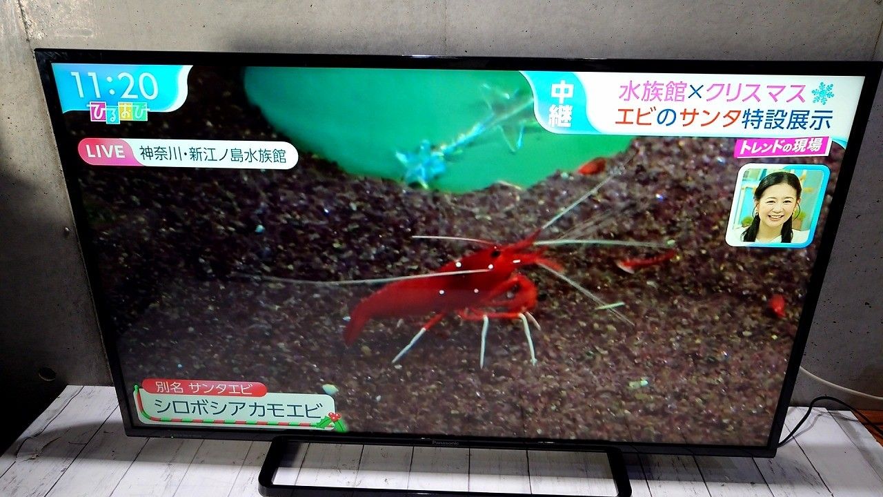 Panasonic パナソニック 43V型 液晶テレビ ビエラ フルハイビジョン TH-43D305 ブラック