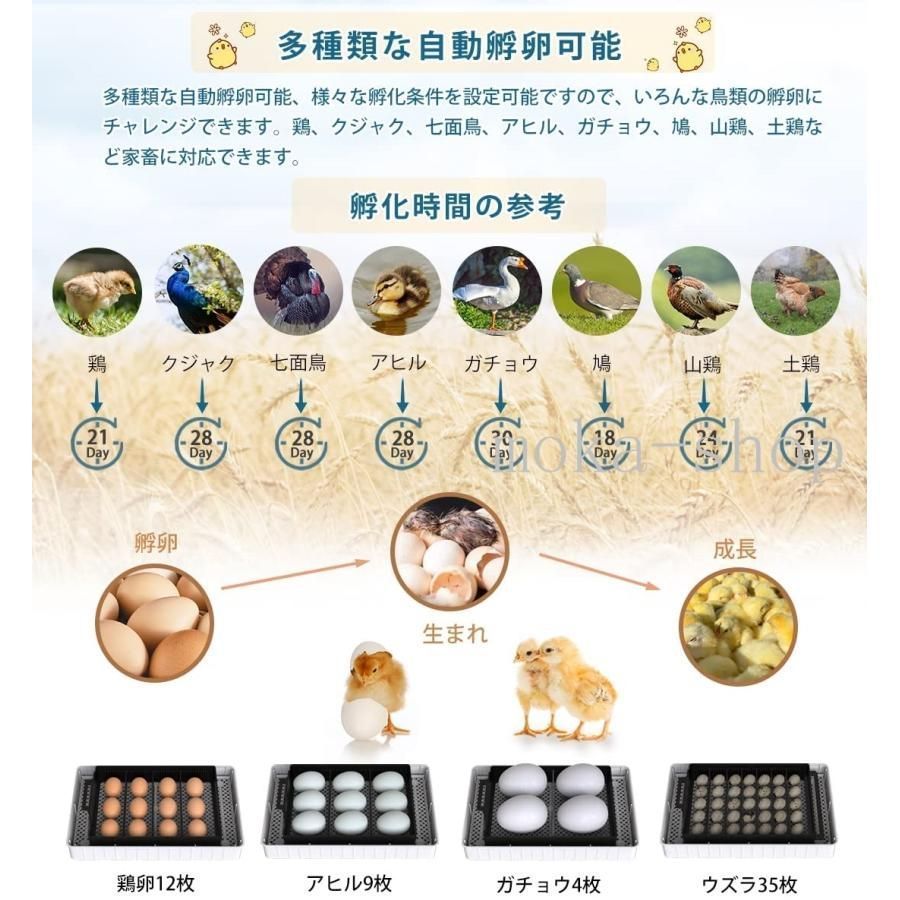 鶏 にわとり