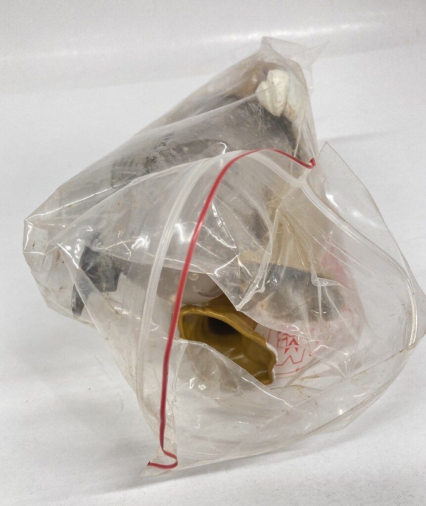 マッド博士恐怖の実験室