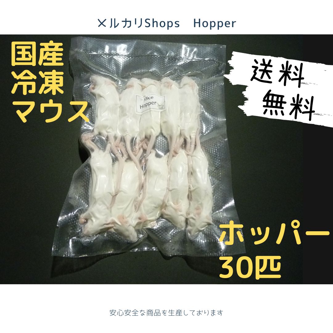 国産冷凍マウス ホッパー 20匹 (地域限定送料無料) - 爬虫類・両生類のエサ