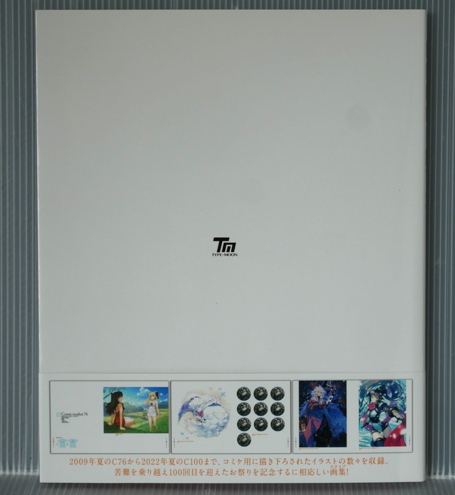 Type-Moon Comic Market Visual Collection: Concept 2 (FGO, Fate