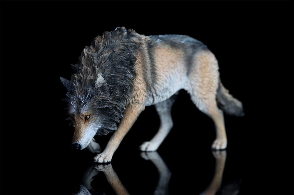 【男前インテリア】ハイイロオオカミ　コヨーテ　狼　毛皮　ラグ　大判【稀少】 男前インテリア】ハイイロオオカミ コヨーテ 狼 毛皮 ラグ 大判