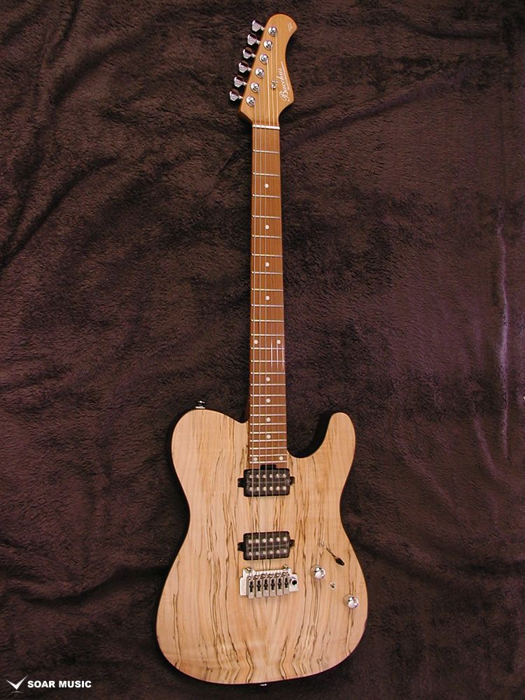 値下げ Bacchus バッカス TACTICS24-SPM RSM/M NAS Electric guitar BACCHUS TACTICS24-SPM RSM/M NAS JAPAN TUNE