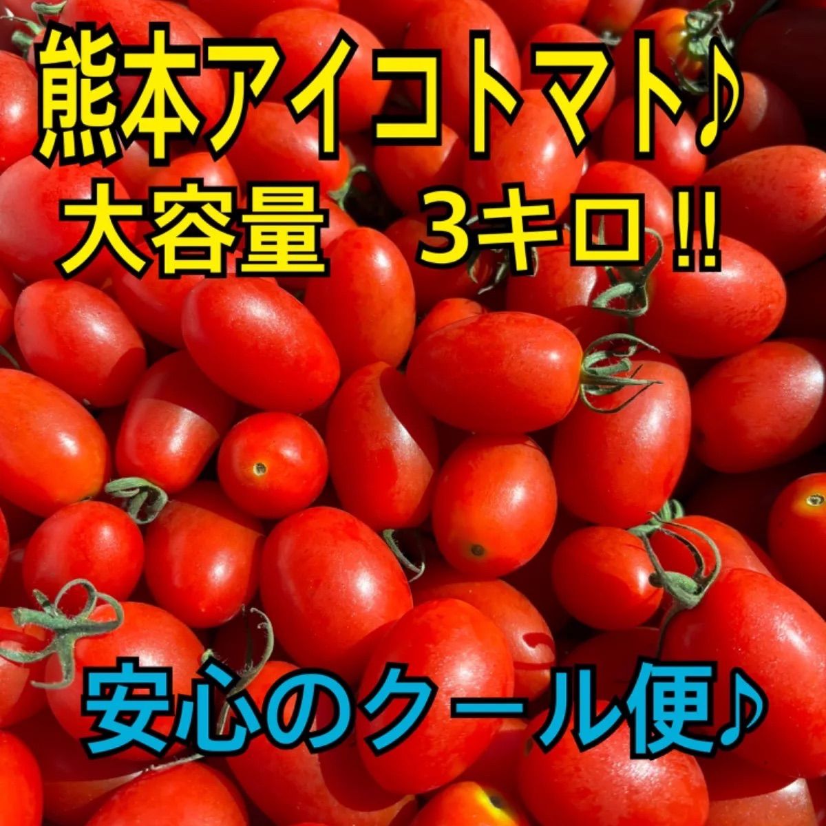 安心のクール便発送♪　熊本県産　アイコトマト　箱込み3キロ　秀品　ケース販売