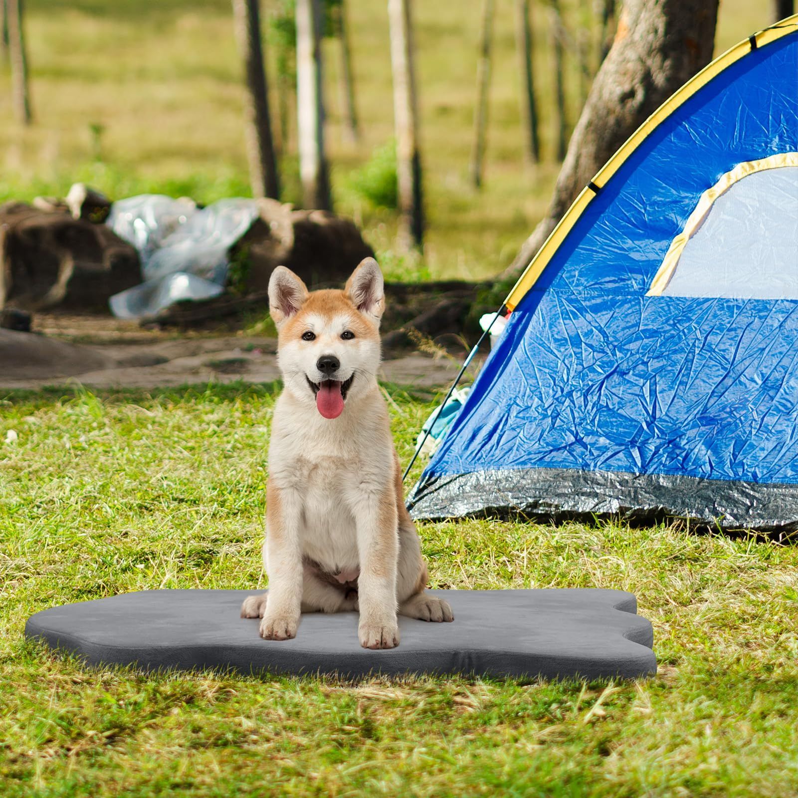 大型犬 5cm厚さ