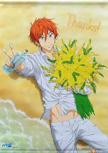 中古】タペストリー 御子柴百太郎 Thanks! Birthday タペストリー