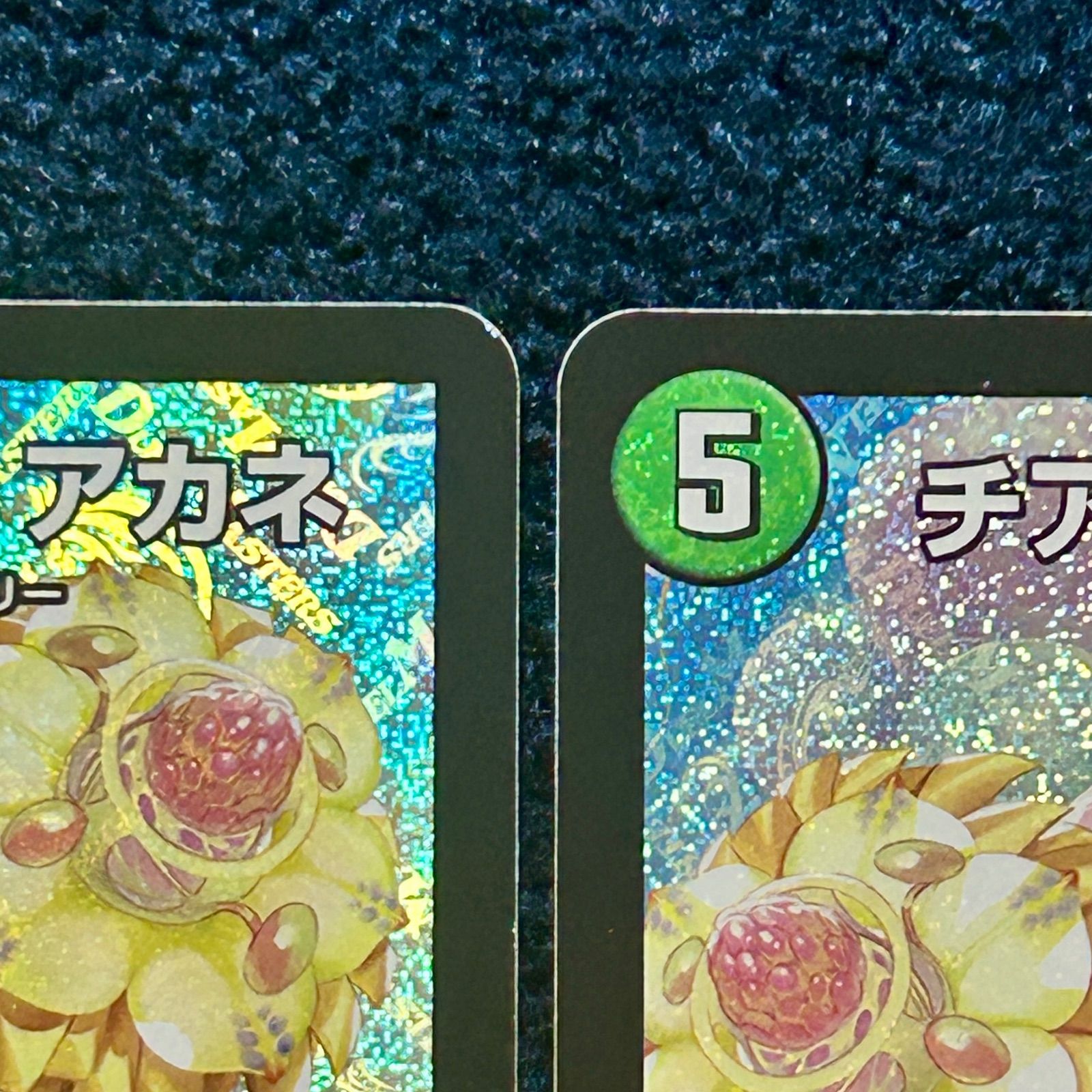 チアスカーレット・アカネ 2枚 チアスカーレットアカネ B 2枚 チア