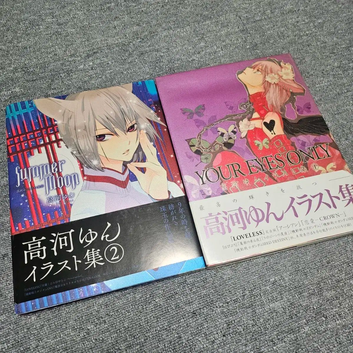 愛せない 作家 イラストブック 1 2 巻