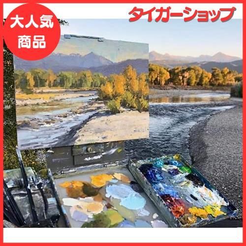 油絵 キャンバス 12枚入 木枠 張りキャンバス 画材 木枠