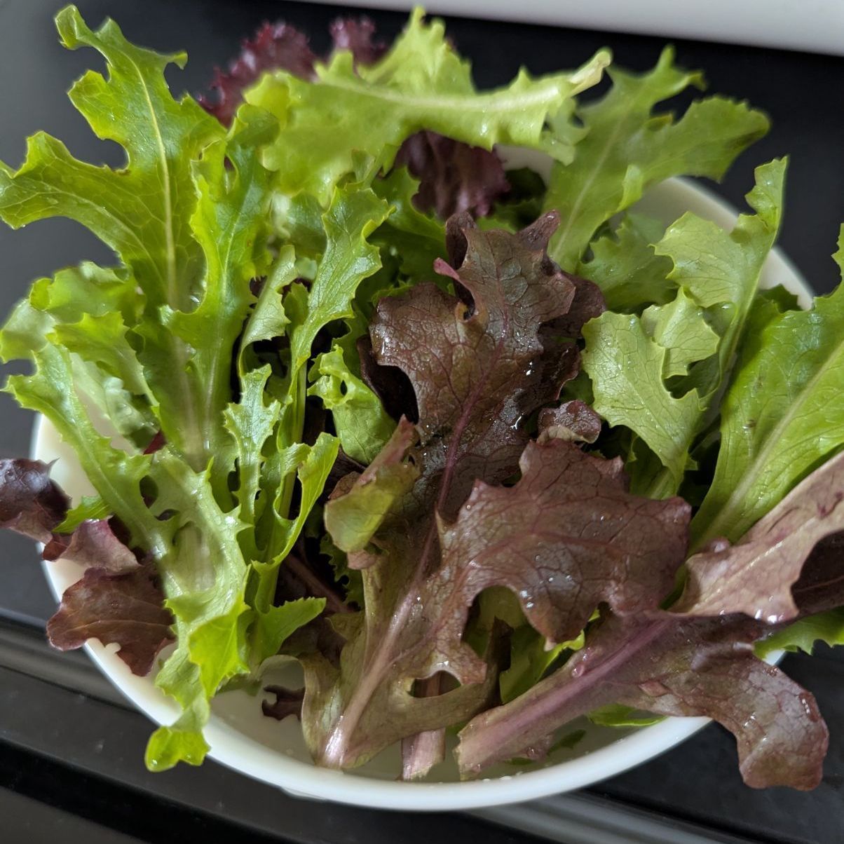 kota's Baby Leaf（群馬県産 ベビーリーフ） コメント用 kota's Baby