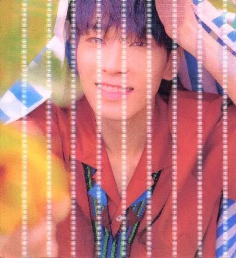 seventeen ウォヌ the seam レンチキュラー seventeen ウォヌ the seam レンチキュラー