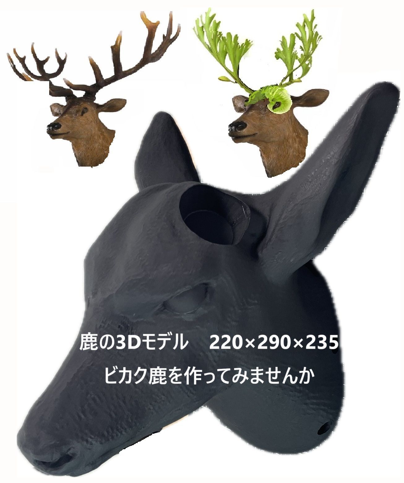 鹿の3Dモデル（ビカクシダ着生板）220×290×235 Deer02_220_BK - メルカリ