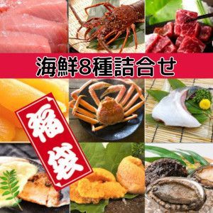 【海鮮福袋】15000～20000円相当8種以上入り（北海道産数の子・天然あわび・越前ガニ・うに等々）