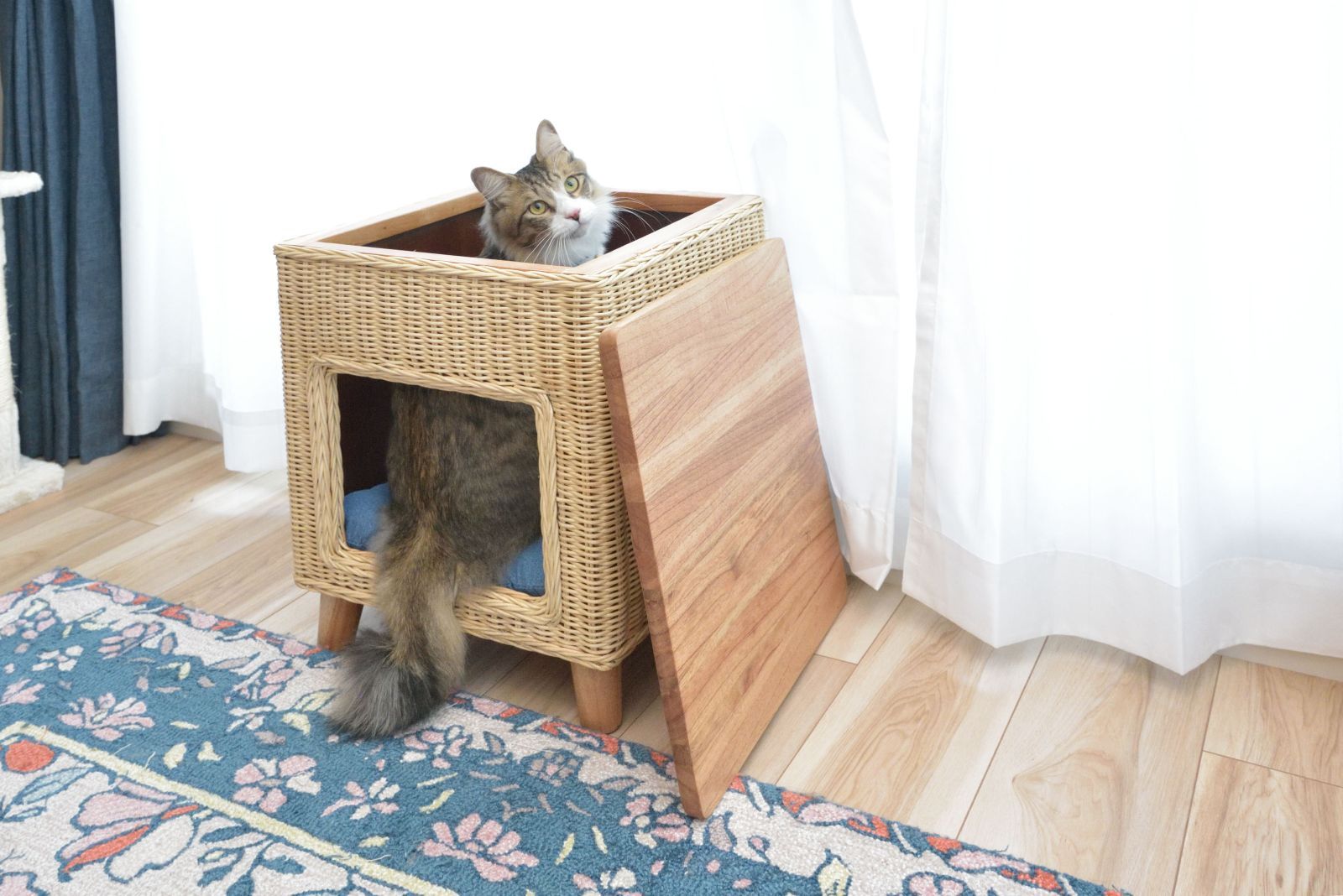 本州送料無料 ペットハウススツール