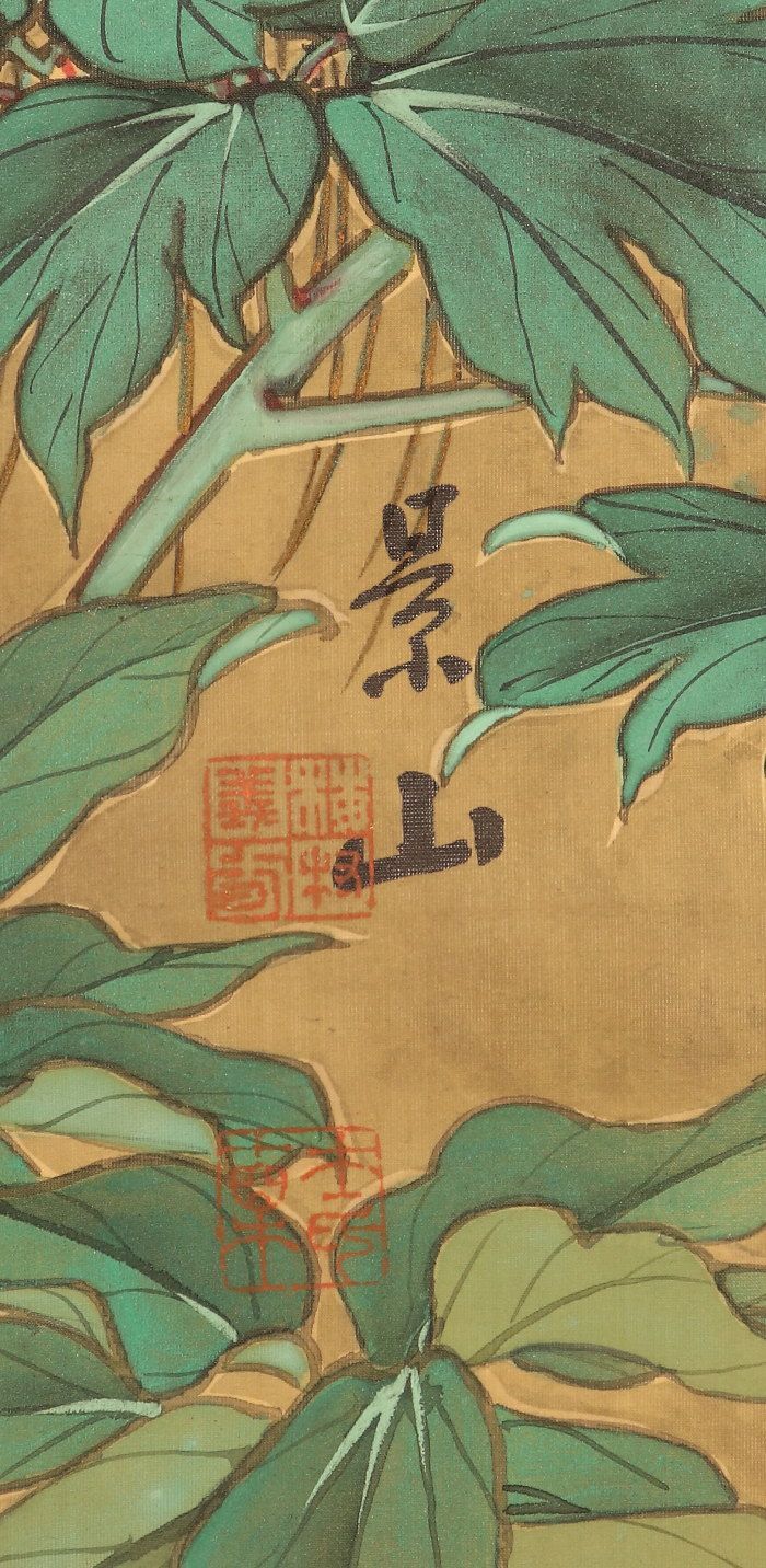 dr1878 美品 掛け軸 梅村景山作 大幅 牡丹孔雀図 共箱 今尾景年