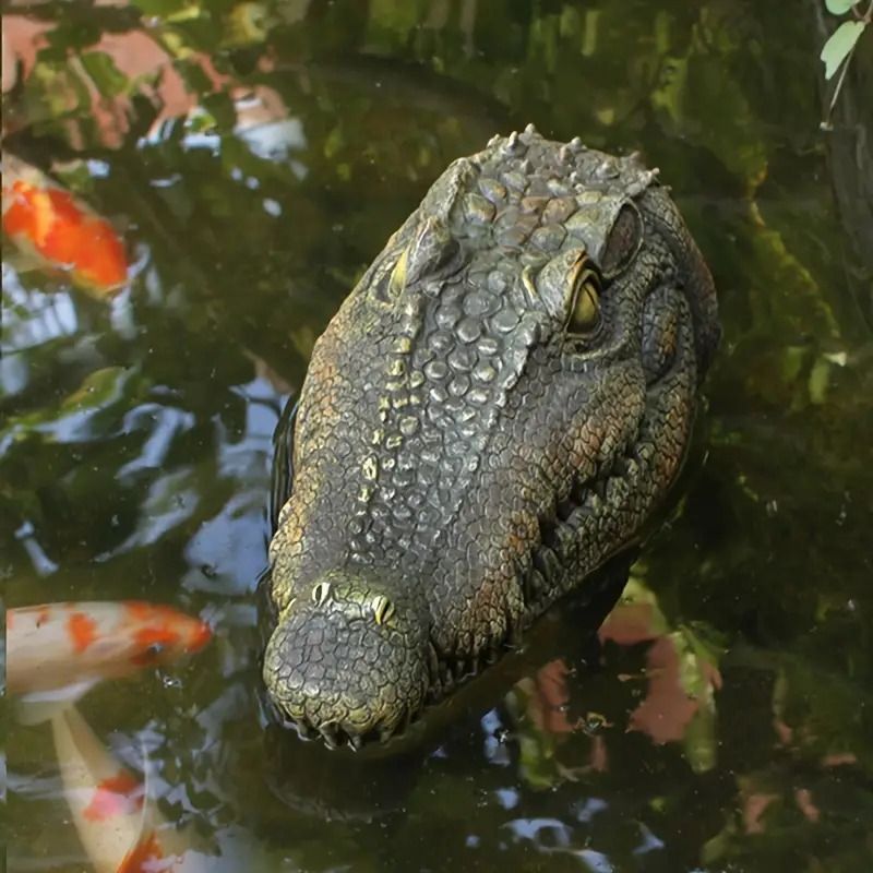 ワニの頭 ワニ 水に浮かぶワニ アリゲーター クロコダイル ワニ ワニの頭 ワニ 水に浮かぶワニ アリゲーター クロコダイル ワニ