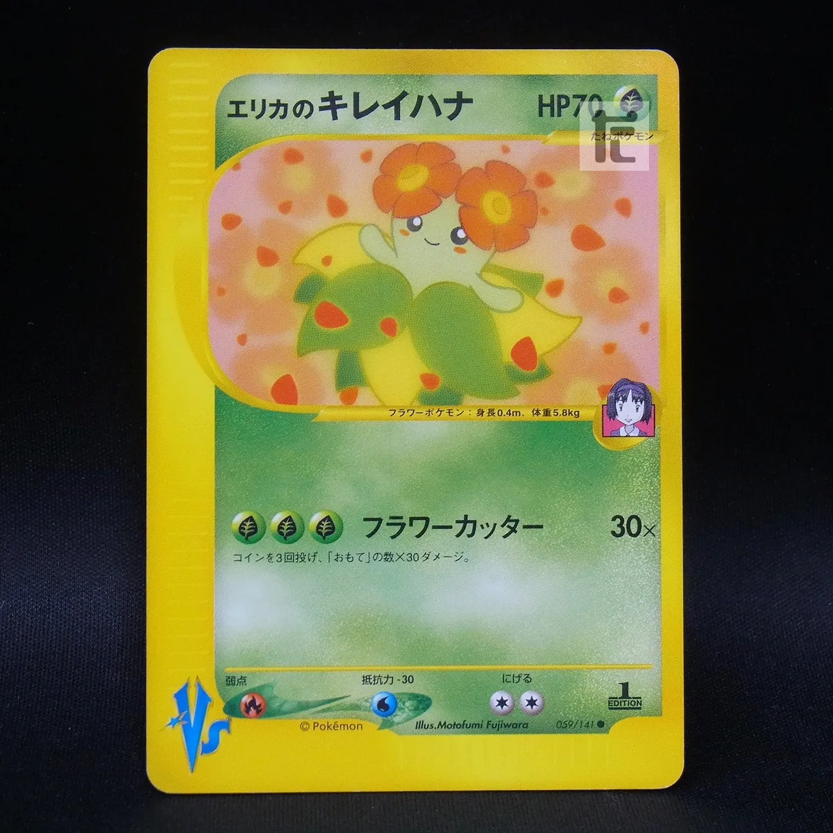 2025年最新】エリカのキレイハナの人気アイテム - メルカリ