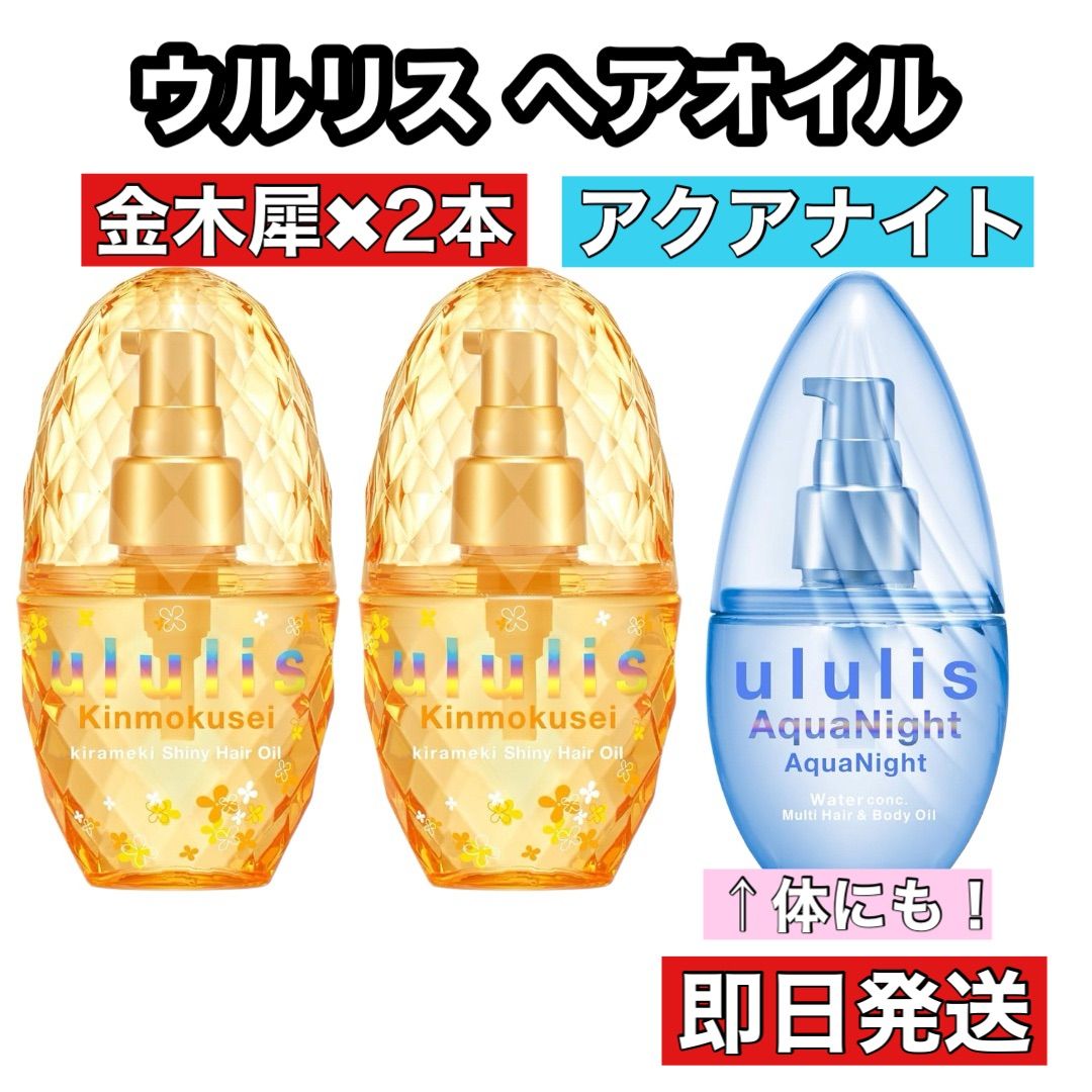 ウルリス アクアナイトウォーターコンク マルチヘアオイル - その他