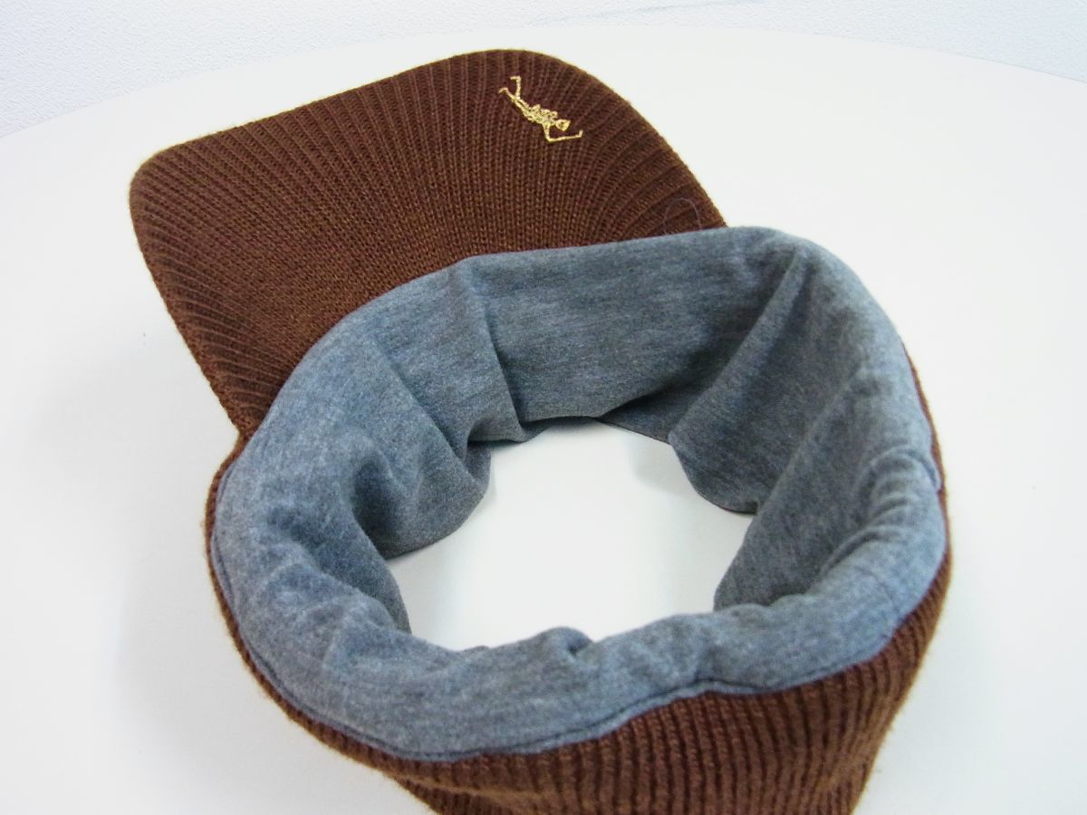 Visor